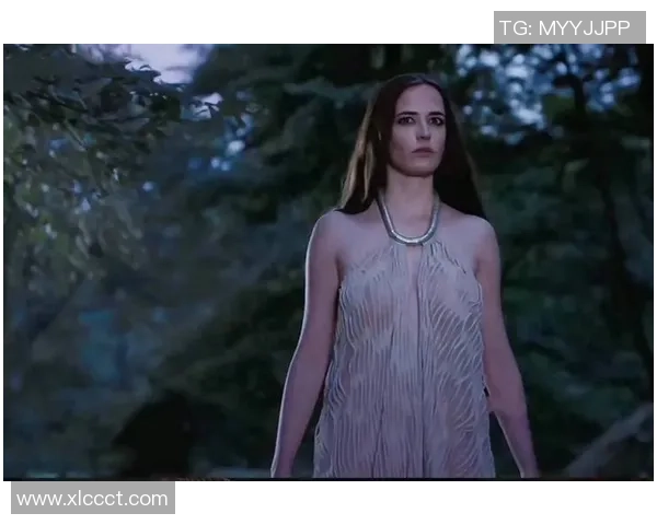 弗格的传奇人生与时代交织的辉煌成就探索